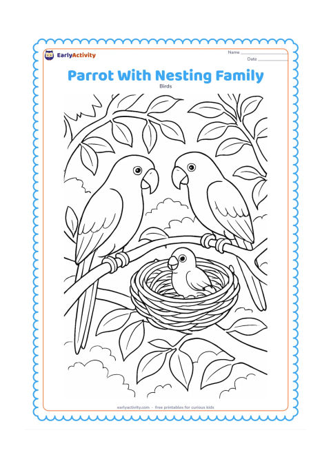 Colouring page: Draw two adult parrots near a carefully woven nest in a leafy treetop, with one small chick visible inside. Include several branching levels, overlapping leaves, and a distant forest canopy.
