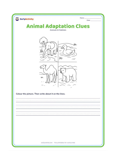 Worksheet: Draw an elephant with a long trunk near water, a duck with webbed feet at a pond, a camel with a hump in dry land and a polar bear on snowy ground. Give each animal a clear environmental…