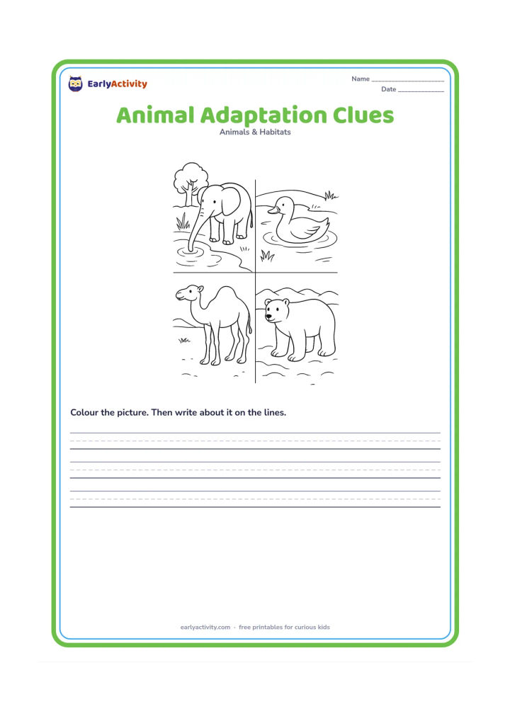 Worksheet: Draw an elephant with a long trunk near water, a duck with webbed feet at a pond, a camel with a hump in dry land and a polar bear on snowy ground. Give each animal a clear environmental…
