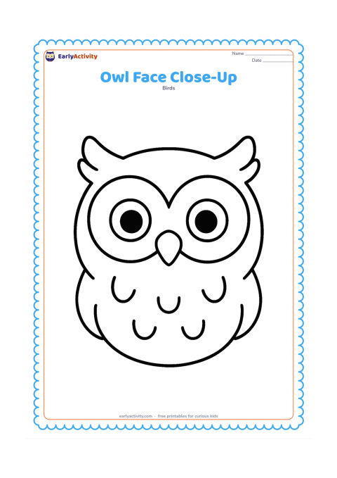 Colouring page: A friendly owl face fills most of the page, with two large round eyes, a small beak, simple cheek feathers and a few curved feather shapes around the head.