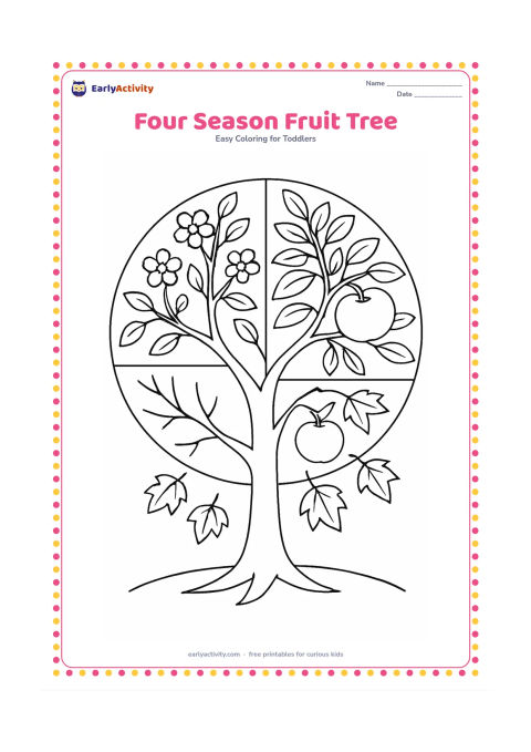 Colouring page: Draw a single fruit tree divided into four natural sections around its trunk: blossoms and spring leaves, leafy summer fruit, falling autumn leaves with apples, and a quiet winter…
