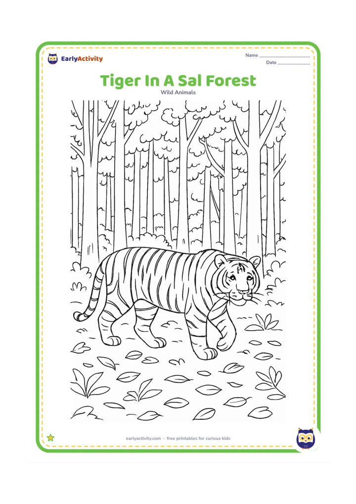 Colouring page: A full-grown tiger walks through an Indian sal forest with tall straight trunks, layered branches, fallen leaves, and shafts of open space between the trees. Show a natural stripe…