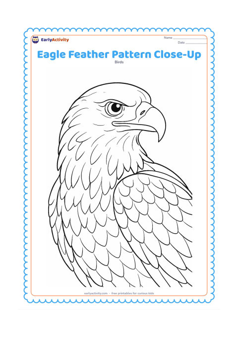 Colouring page: Draw a close-up eagle with its head, neck, upper body and one partly opened wing filling the page. Show layered facial feathers, overlapping wing feathers, a detailed eye and a hooked beak.