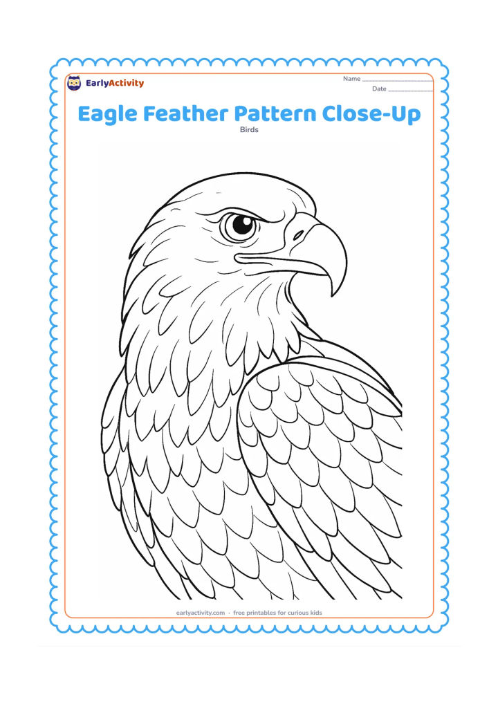 Colouring page: Draw a close-up eagle with its head, neck, upper body and one partly opened wing filling the page. Show layered facial feathers, overlapping wing feathers, a detailed eye and a hooked beak.