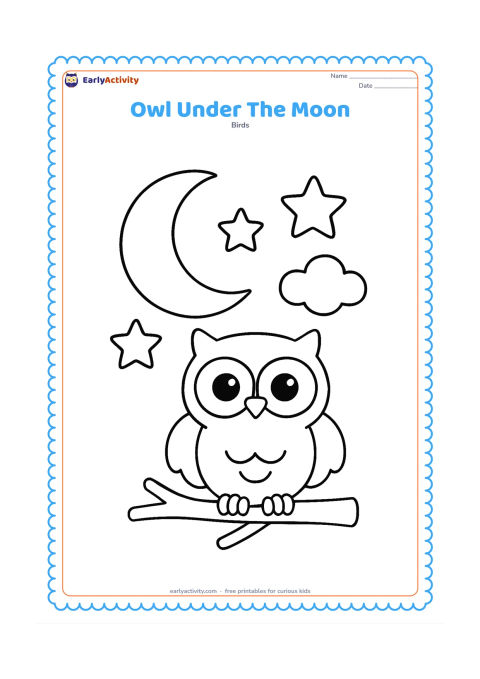 Colouring page: A cheerful owl perches on a short branch beneath a large crescent moon, with three large stars and one small cloud in the background.