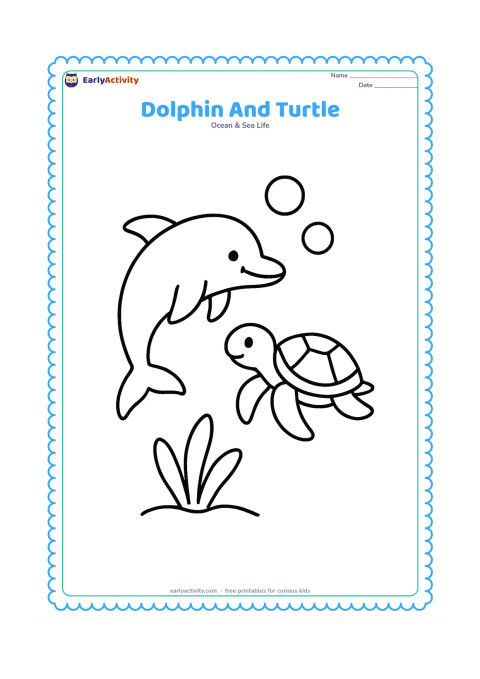 Colouring page: Draw one dolphin swimming beside one friendly sea turtle in open water, with two large bubbles and a single broad sea plant below. Show both animals in clear side view.