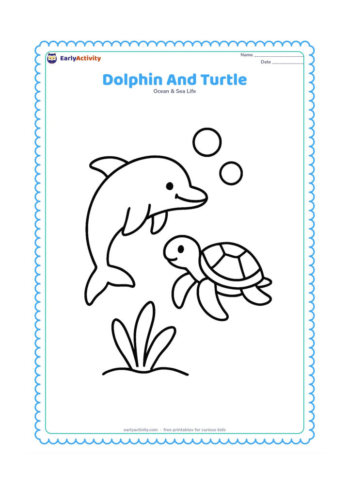 Colouring page: Draw one dolphin swimming beside one friendly sea turtle in open water, with two large bubbles and a single broad sea plant below. Show both animals in clear side view.