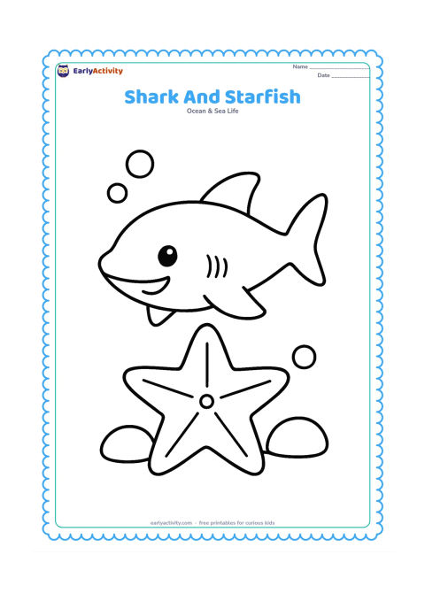 Colouring page: A friendly shark hovers over a large starfish on the seabed, with three bubbles and two rounded rocks nearby. Show the shark from a clear side view.
