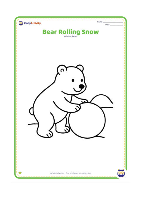 Colouring page: A polar bear rolls a large round snowball across the ground with both paws, beside two simple snow-covered bumps.