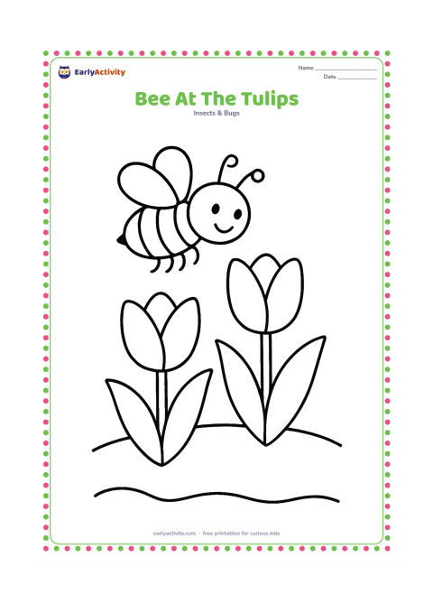 Colouring page: A bee hovers over two large tulips in a simple garden bed, with wide leaves and a curved soil line. The bee should be easy to recognise from its stripes, wings and legs.