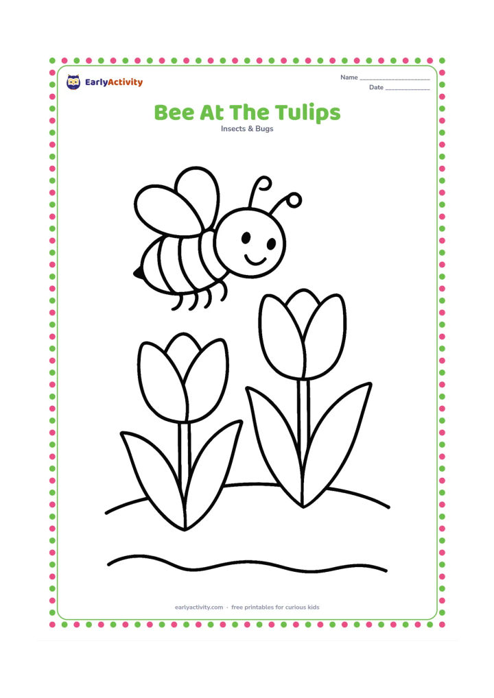Colouring page: A bee hovers over two large tulips in a simple garden bed, with wide leaves and a curved soil line. The bee should be easy to recognise from its stripes, wings and legs.