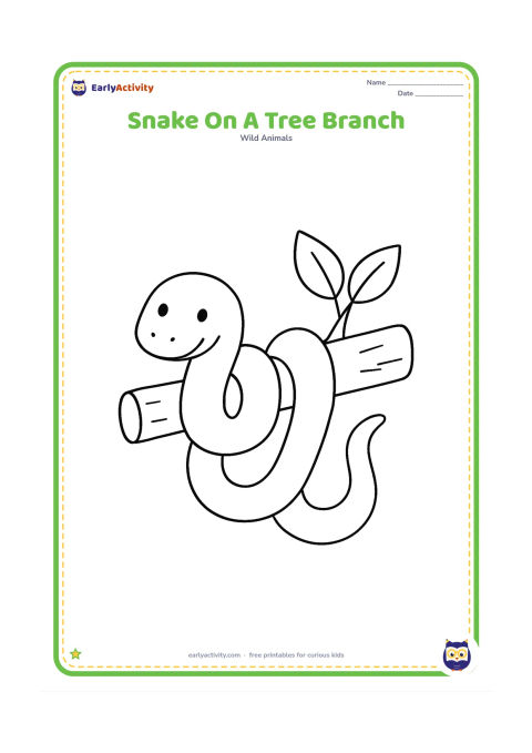Colouring page: Draw a snake loosely wrapped around one thick, horizontal tree branch, with two large leaves attached. Show the complete snake from head to tail.