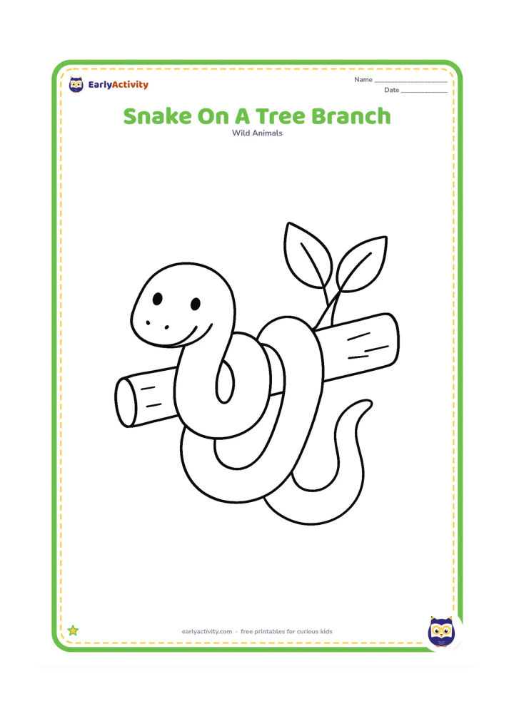 Colouring page: Draw a snake loosely wrapped around one thick, horizontal tree branch, with two large leaves attached. Show the complete snake from head to tail.