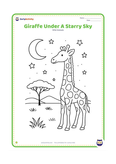 Colouring page: A giraffe stands in profile beneath a moon and a sky filled with varied stars. Add an acacia silhouette, low grass and distant hills while keeping the animal's patches clearly visible.