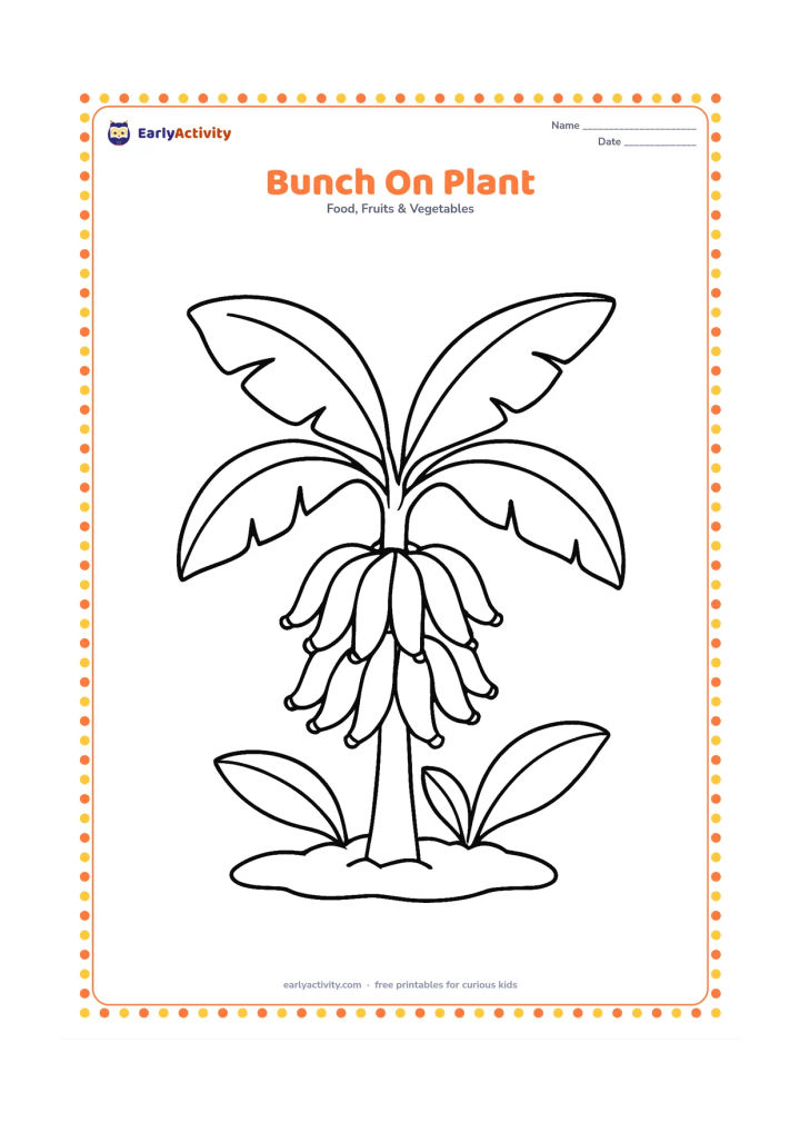 Colouring page: Draw a bunch of bananas hanging beneath two large banana leaves on a short, sturdy plant stem. Add a simple patch of soil and two broad leaves in the background.