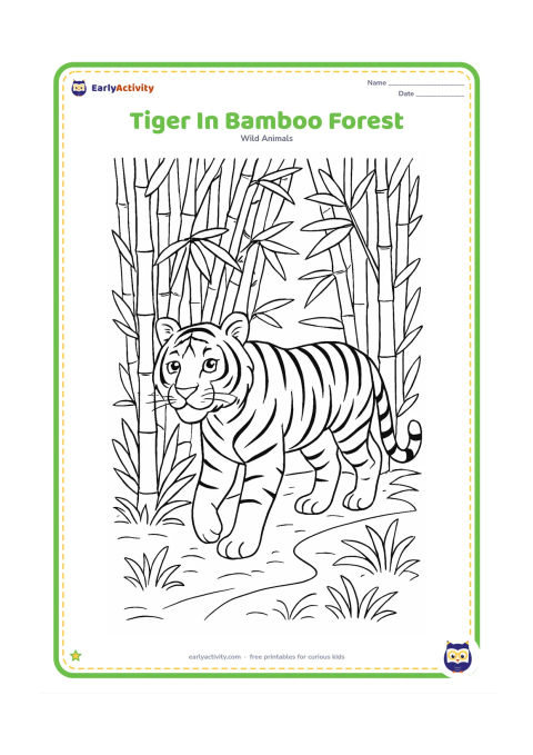 Colouring page: A full tiger moves through a dense bamboo forest, with its head and shoulders between tall stems and its body continuing along a winding path. Include layered bamboo leaves, roots, and…