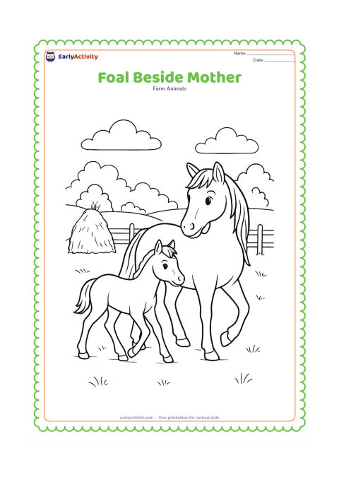 Colouring page: A foal walks close beside its mother across a farm field, with the mother looking back gently. Include a haystack, a wooden fence and distant rounded trees.