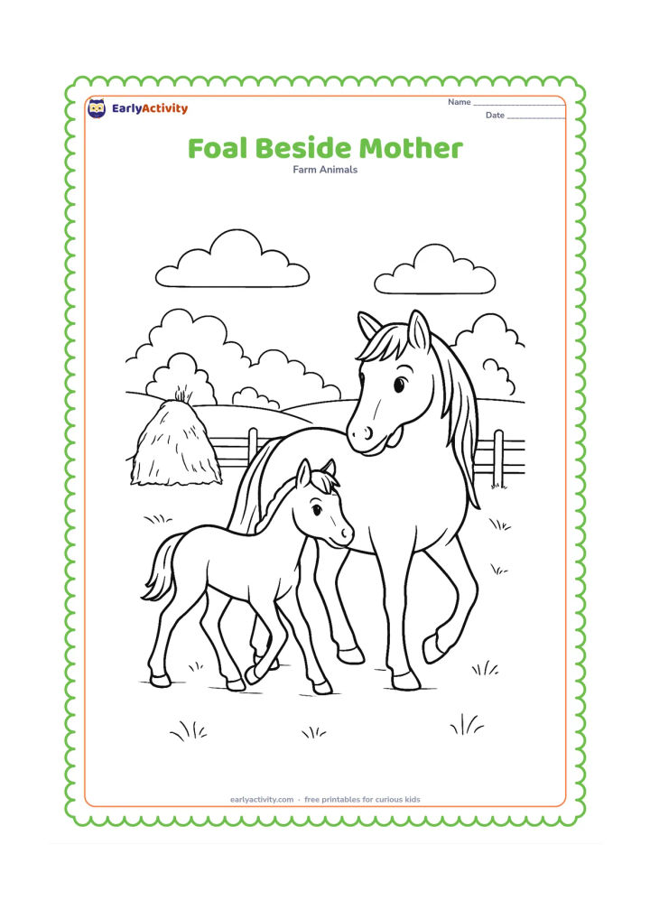 Colouring page: A foal walks close beside its mother across a farm field, with the mother looking back gently. Include a haystack, a wooden fence and distant rounded trees.