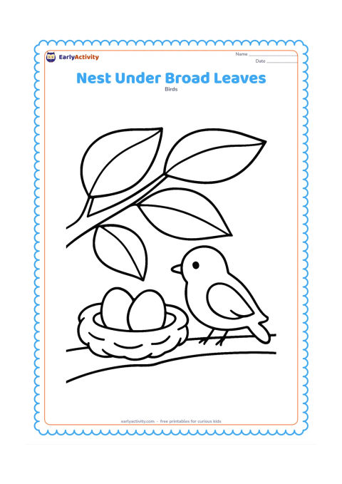 Colouring page: A nest with two eggs sits safely beneath several large broad leaves. A small parent bird rests on the branch beside it.