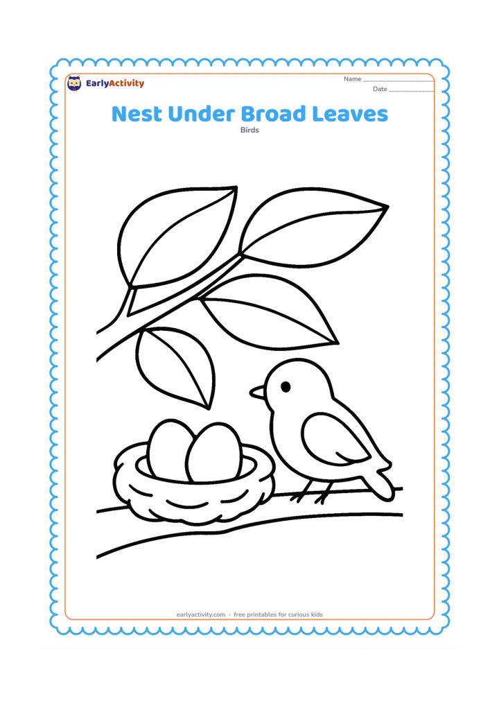 Colouring page: A nest with two eggs sits safely beneath several large broad leaves. A small parent bird rests on the branch beside it.
