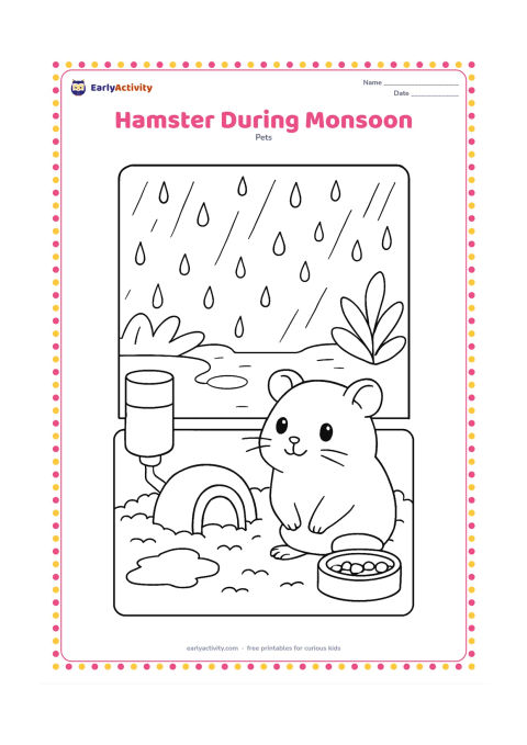 Colouring page: A hamster looks out from its dry indoor enclosure at raindrops on a window, with puddles and leafy plants outside. Include a covered bedding nest, water bottle and food dish inside.