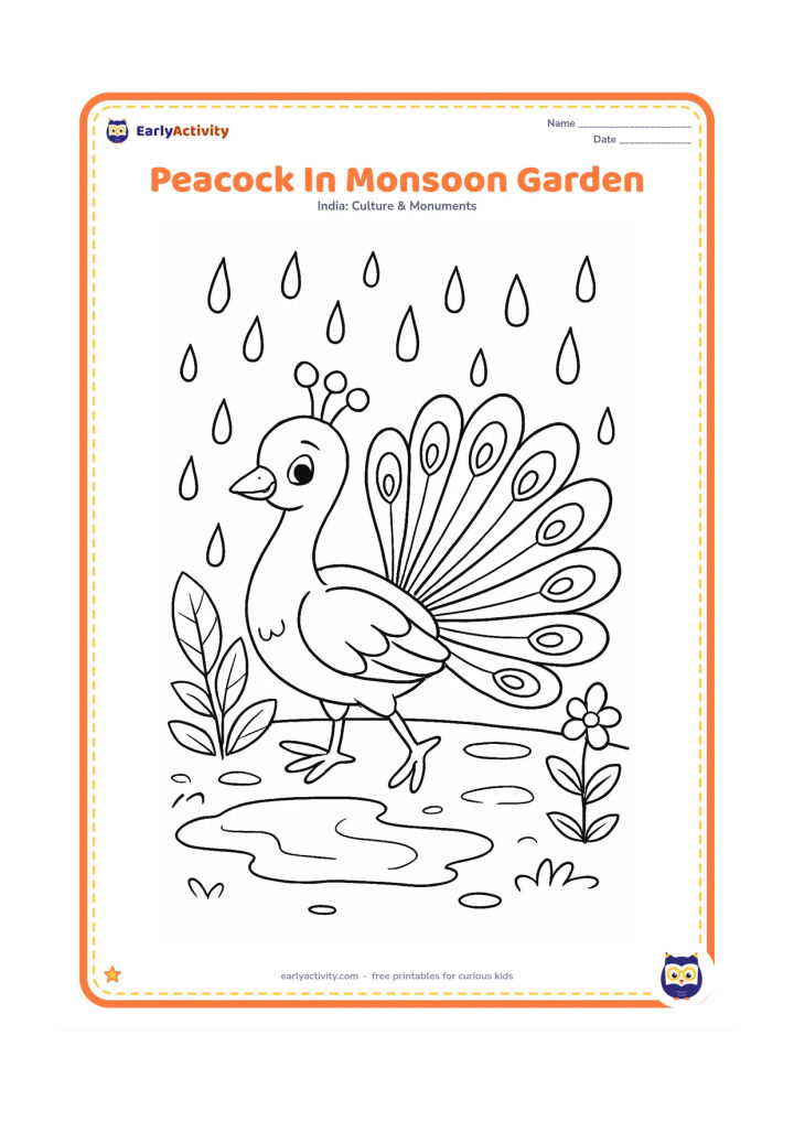 Colouring page: Draw an Indian peacock dancing in a garden after rain, with its tail partly fanned and several raindrops around it. Include wet leaves, a puddle and a small flowering plant.