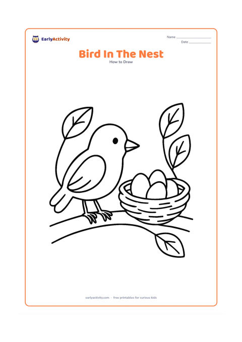 Worksheet: A parent bird stands beside a woven nest holding three eggs on a tree fork. Include the bird's oval body, head, beak, folded wing, tail feathers and feet, with broad leaves framing the…