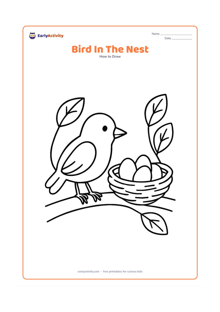 Worksheet: A parent bird stands beside a woven nest holding three eggs on a tree fork. Include the bird's oval body, head, beak, folded wing, tail feathers and feet, with broad leaves framing the…