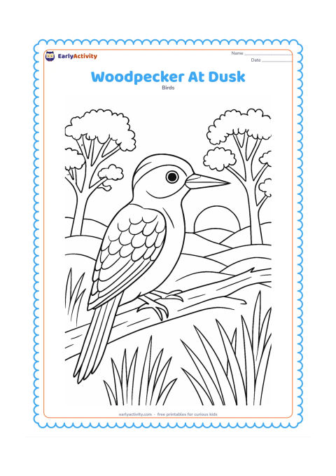 Colouring page: A woodpecker sits on a branch at dusk, with layered hills, tall grasses, a setting sun and detailed tree silhouettes behind it. Show the bird's patterned wing and stiff tail in profile.