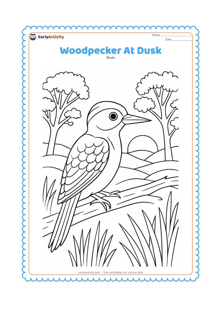 Colouring page: A woodpecker sits on a branch at dusk, with layered hills, tall grasses, a setting sun and detailed tree silhouettes behind it. Show the bird's patterned wing and stiff tail in profile.