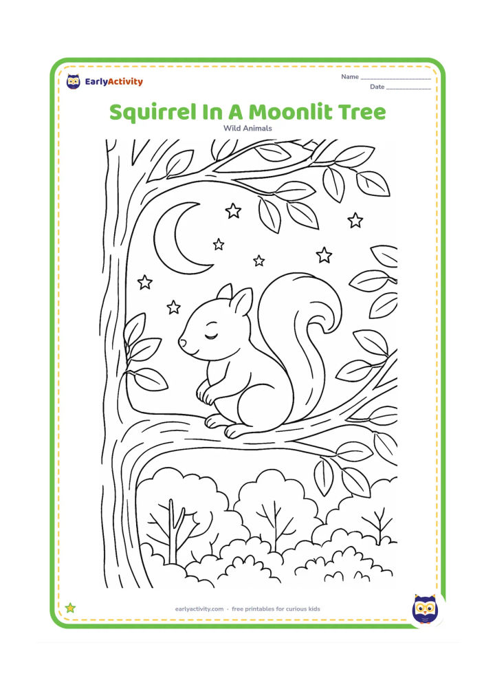 Colouring page: Draw a peaceful squirrel perched on a thick branch at night, with a crescent moon, stars, layered tree branches, and a quiet woodland below.