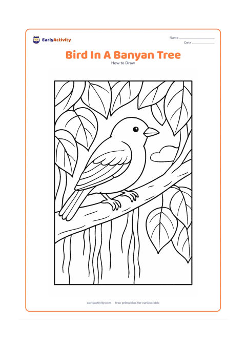 Worksheet: A bird rests on a thick banyan branch surrounded by broad leaves and hanging aerial roots. Include a rounded body, curved beak, overlapping wing feathers, layered tail, gripping feet and…