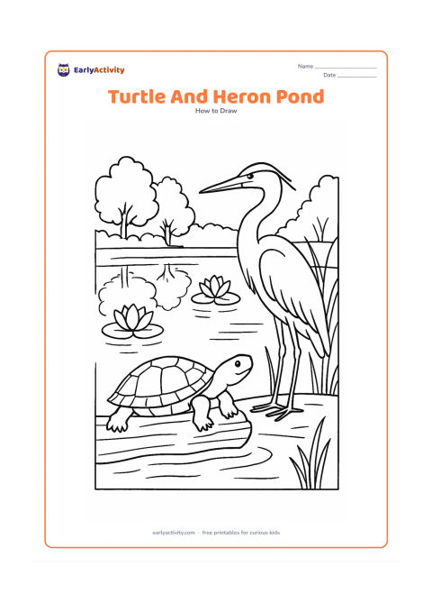 Worksheet: Draw a pond turtle perched on a log while a calm heron stands at the water's edge behind it. Include lotus flowers, reeds, reflected trees and a gently rippling pond.