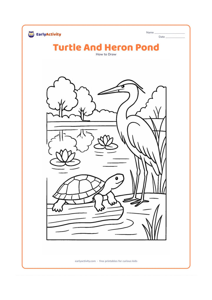 Worksheet: Draw a pond turtle perched on a log while a calm heron stands at the water's edge behind it. Include lotus flowers, reeds, reflected trees and a gently rippling pond.