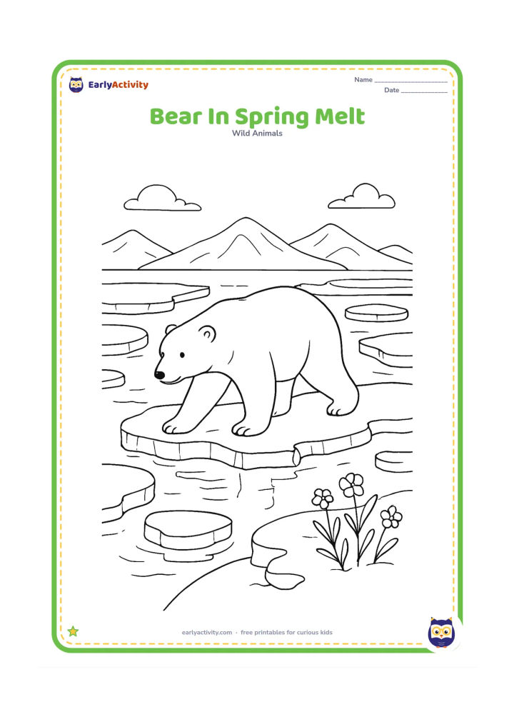 Colouring page: A polar bear steps between melting ice floes in spring, with reflective pools, dripping ice edges, distant mountains and small Arctic flowers emerging near the shore.