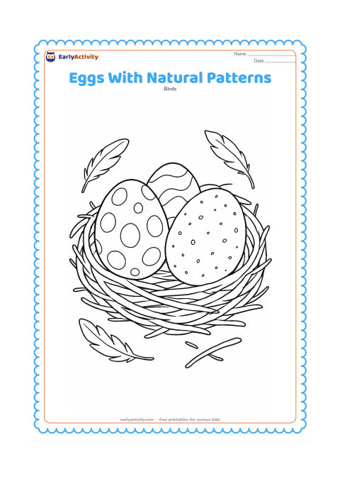 Colouring page: A close view of a nest holds three eggs decorated with non-letter spots, curved marks and small speckles. Add loose twigs and soft feathers around the nest.