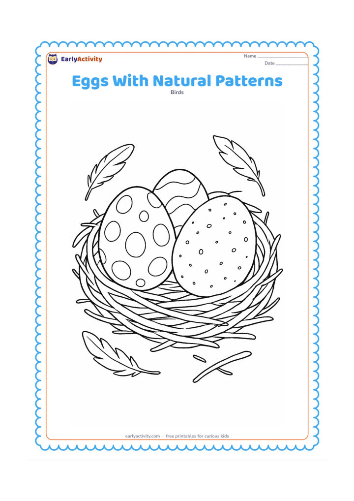 Colouring page: A close view of a nest holds three eggs decorated with non-letter spots, curved marks and small speckles. Add loose twigs and soft feathers around the nest.