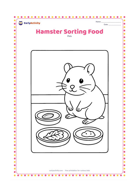 Colouring page: A hamster sits beside three separate shallow dishes containing a seed, a leafy vegetable and a small piece of suitable pet food. Place the dishes on a clean mat inside the enclosure.