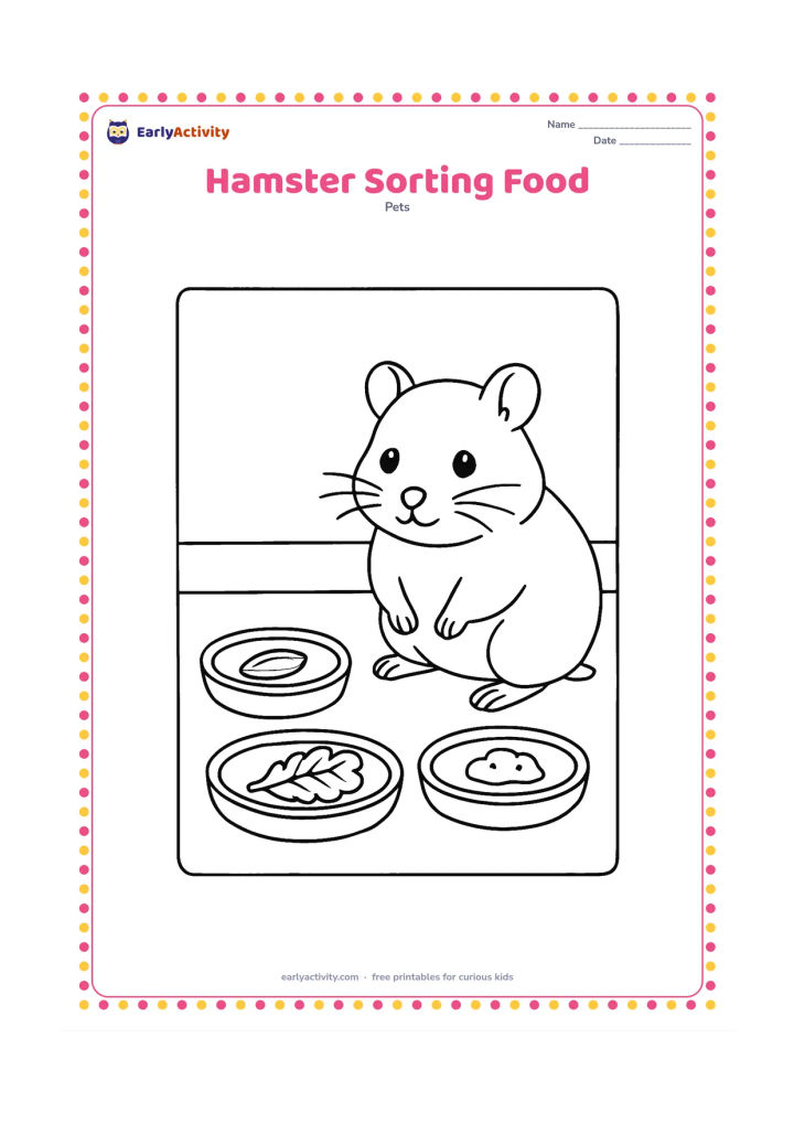 Colouring page: A hamster sits beside three separate shallow dishes containing a seed, a leafy vegetable and a small piece of suitable pet food. Place the dishes on a clean mat inside the enclosure.