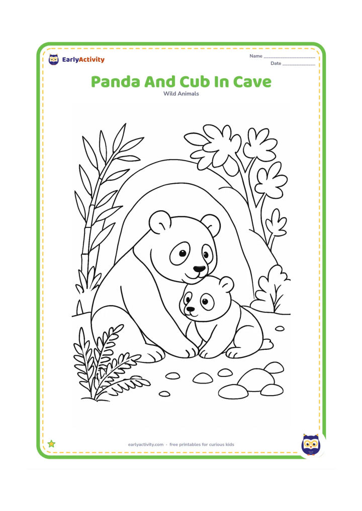 Colouring page: Draw an adult panda and cub resting just outside a shallow, non-scary mountain cave, with bamboo, ferns, stones and leafy trees around the entrance.