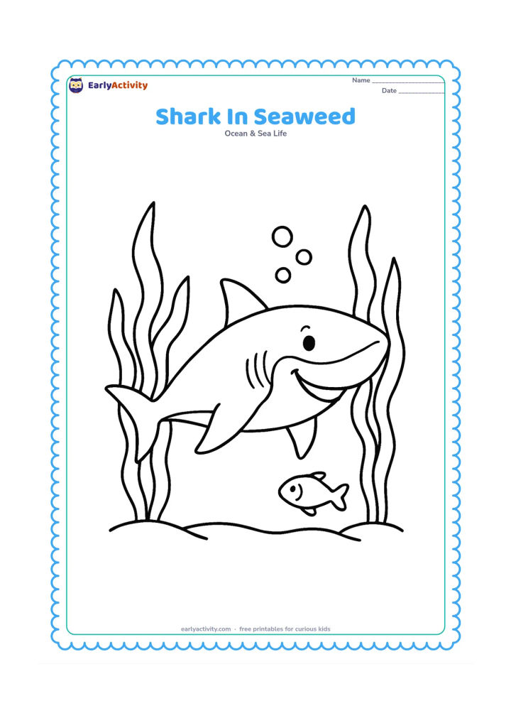 Colouring page: A happy shark swims between two tall clumps of seaweed, with bubbles rising above its back and one small fish near its tail. Keep the seaweed in broad flowing shapes.