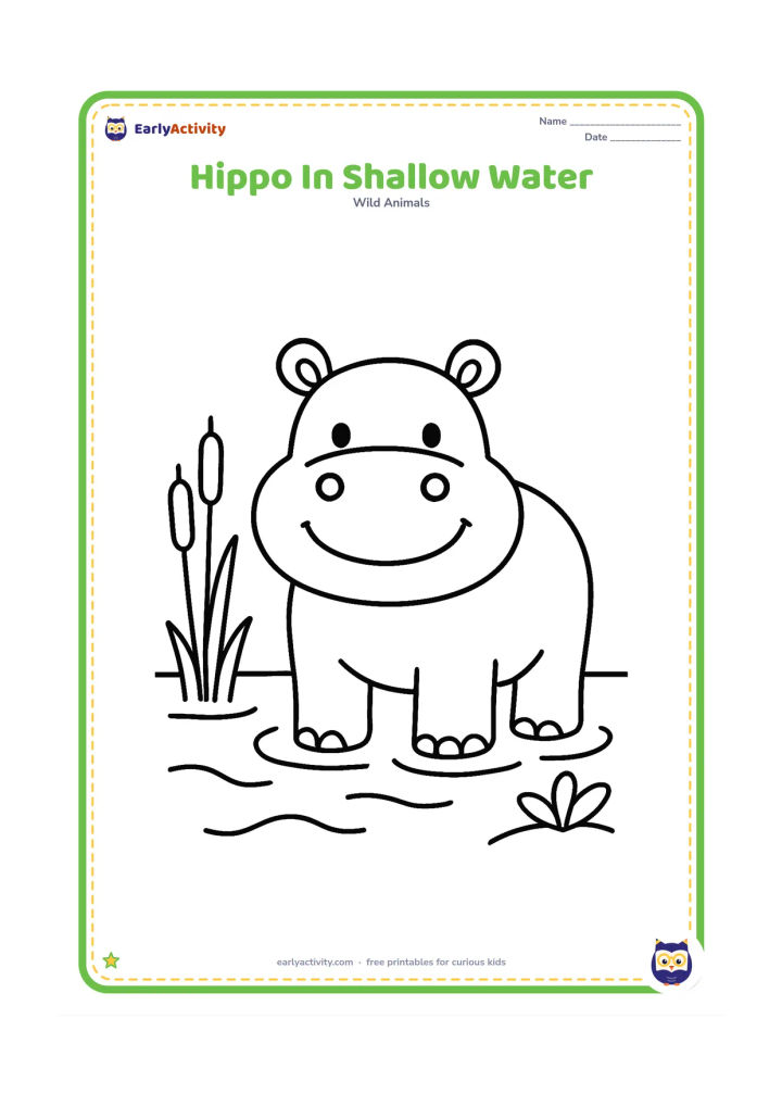 Colouring page: A smiling hippopotamus stands partly in shallow water with only a few ripples around its feet. Show two reeds and a small leafy plant at the edge.