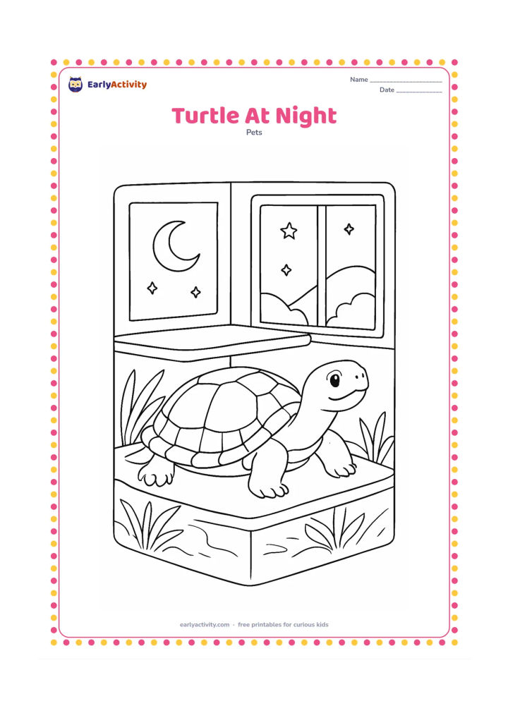 Colouring page: A pet turtle rests in a secure indoor habitat during nighttime, with a moon visible through a window, gentle stars, a shaded basking area, water plants and reflections on the glass. Keep…