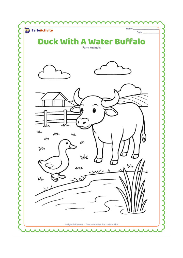 Colouring page: A duck stands near a calm water buffalo at the edge of a farm pond. Include a grassy bank, a simple wooden fence, reeds, a small shelter and distant cultivated fields.