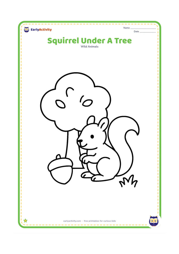 Colouring page: Draw a squirrel sitting under a wide leafy tree canopy beside one large acorn and a small patch of grass.