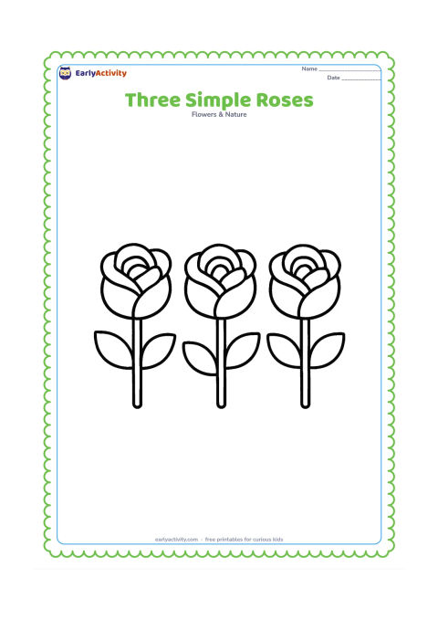 Colouring page: Draw three large rose blooms in a row, each with a short stem and two broad leaves. The blooms should be separate enough for young children to colour easily.