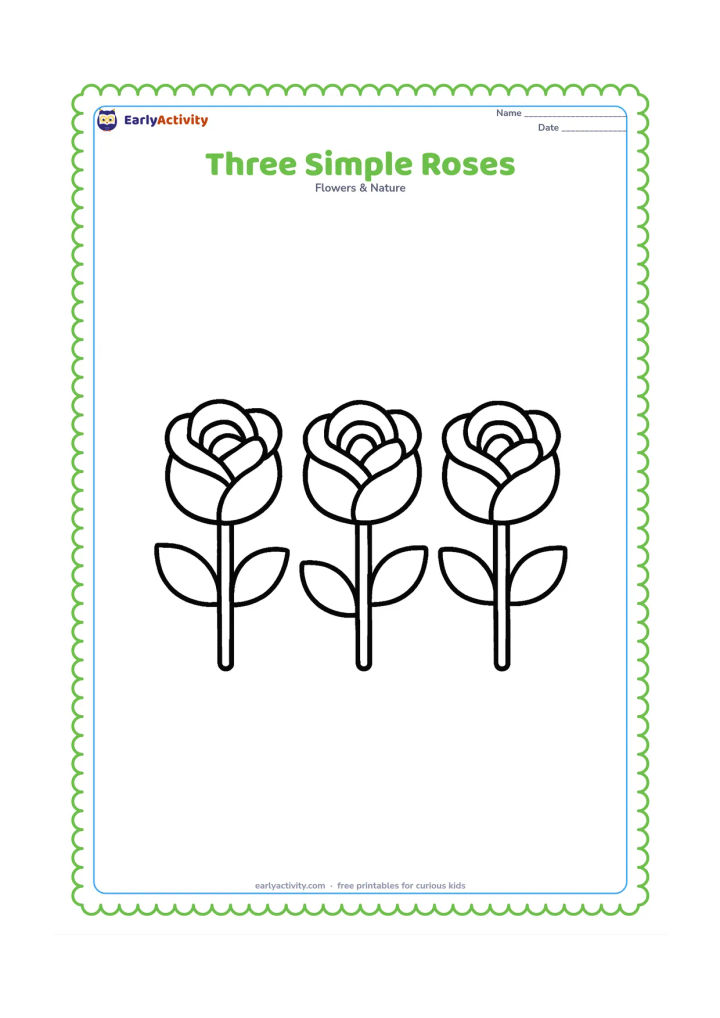 Colouring page: Draw three large rose blooms in a row, each with a short stem and two broad leaves. The blooms should be separate enough for young children to colour easily.