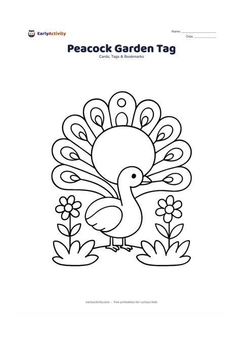 Worksheet: Draw a peacock-shaped gift tag standing in a garden with its tail fanned behind it, two flowers and a low leafy border. Leave a large blank oval panel in the centre of the tail and add a…