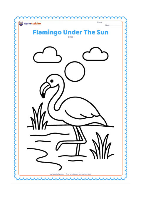 Colouring page: Draw a flamingo resting beside a quiet wetland while a large sun shines above it. Include broad grass clumps, a few water curves and two simple clouds.