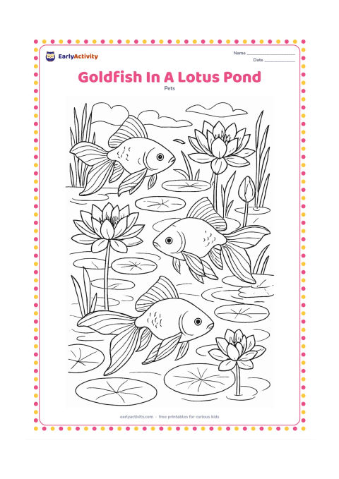 Colouring page: Draw several goldfish moving through an Indian lotus pond with layered lotus leaves, open blossoms, stems, ripples, reeds and reflected foliage. Show varied fish poses and detailed…
